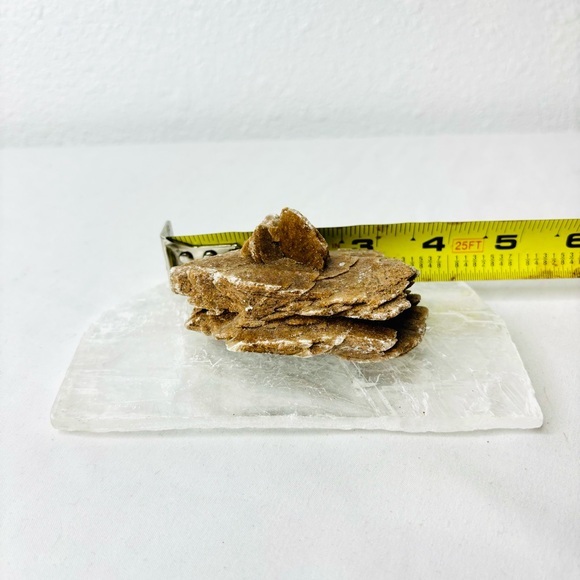 Set of 2 Desert Rose Gypsum - Picture 4 of 7